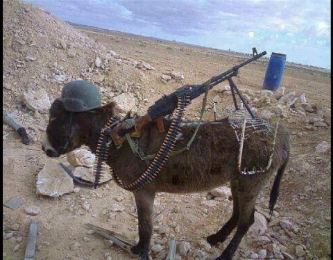 http://www.bitojava.com/wp-content/uploads/2013/10/NETO-Forces-after-Years-every-american-will-be-come-like-donkey-afghanistan-funny-animal-pictures.jpg